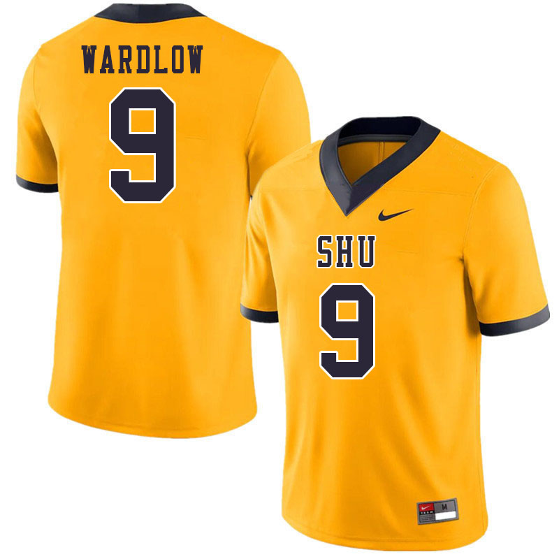 Men-Youth #9 Caleb Wardlow Siena Heights Saints 2023 College Football Jerseys Stitched-Gold